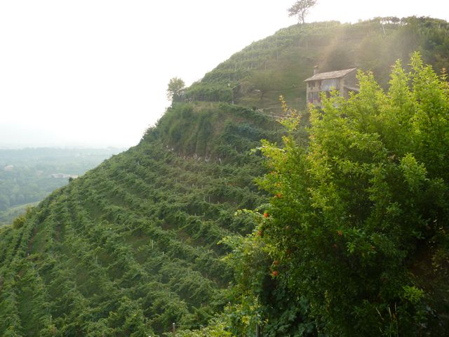 bicycle tours italy view of col vetoraz 